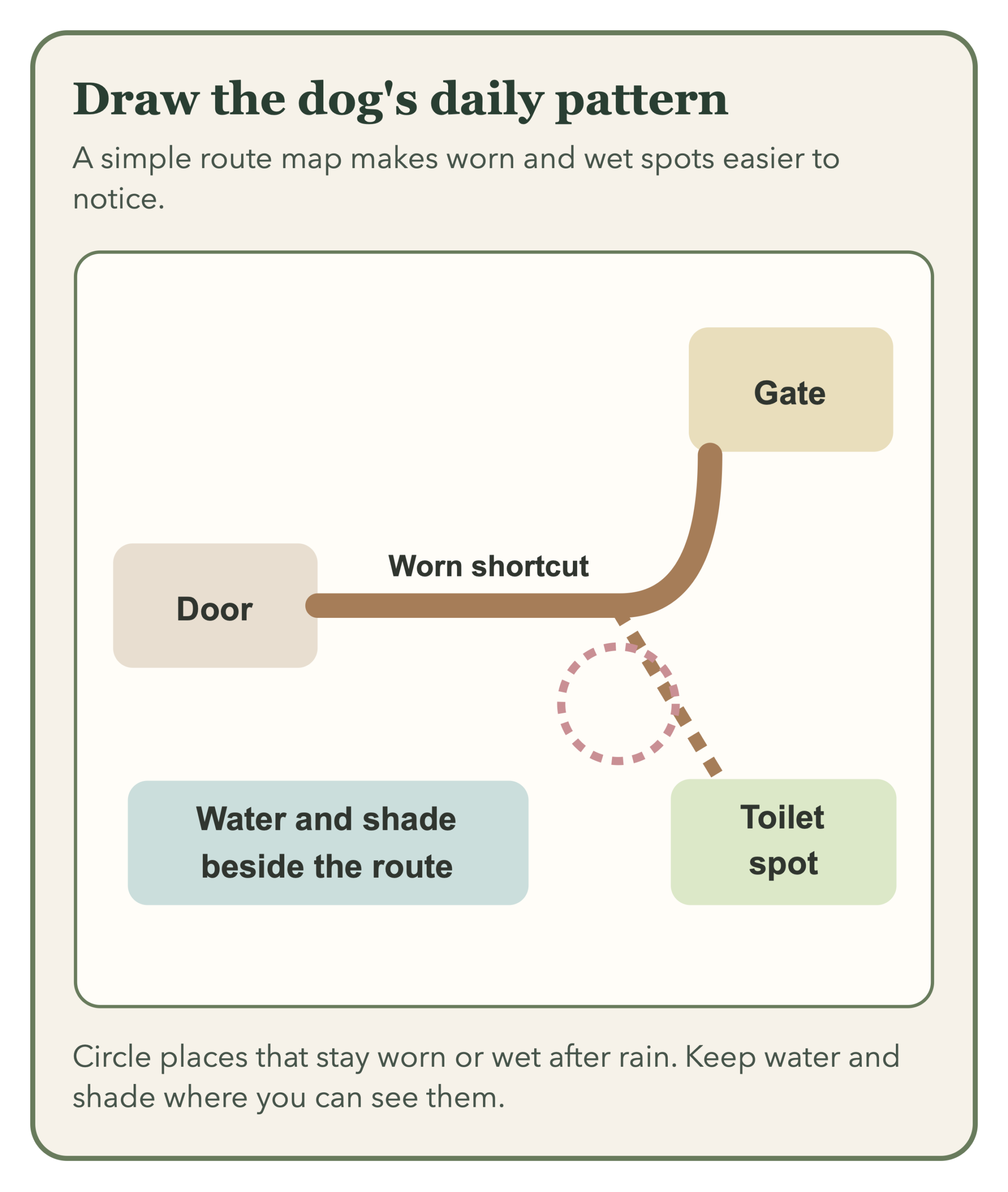 Yard sketch showing a door-to-gate shortcut, toilet spot, water and shade, and worn or wet spots to check.